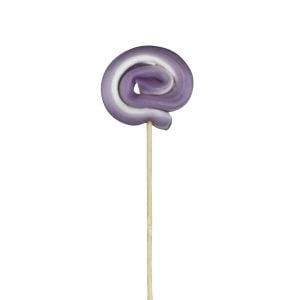 ΓΛΕΙΦΙΤΖΟΥΡΙ ΣΠΙΡΑΛ 6CM (ΛΙΛΑ)